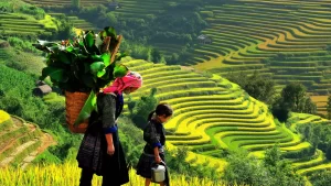 2-SAPA-HA-GIANG-jptraveltime